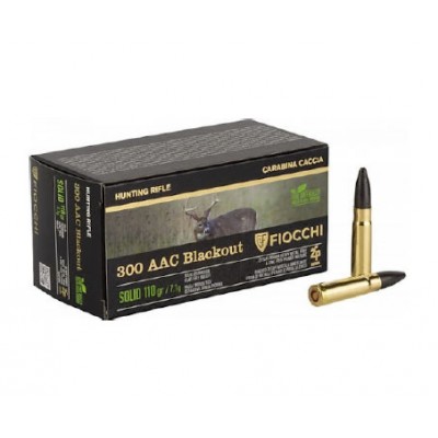 Fiocchi 300 Blk 110gr ZP